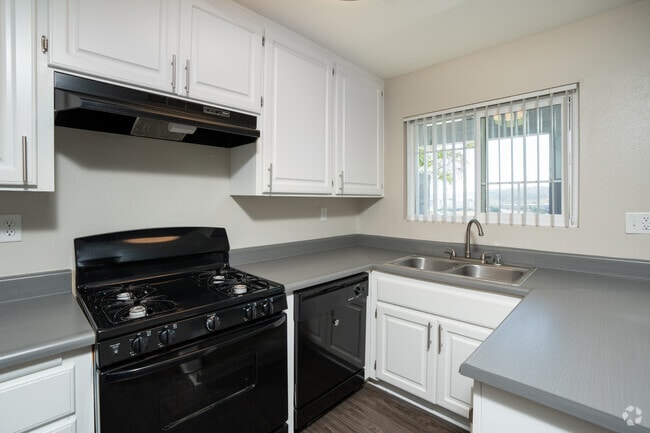 Interior Kitchen