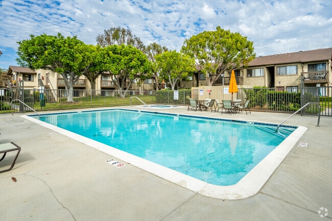 Pool and Spa