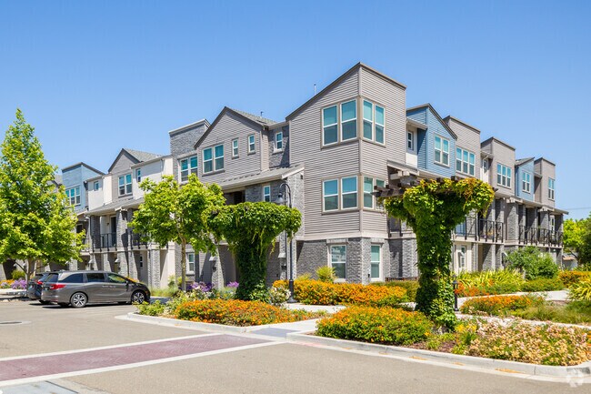 Primary - Nova at The Vale Apartments