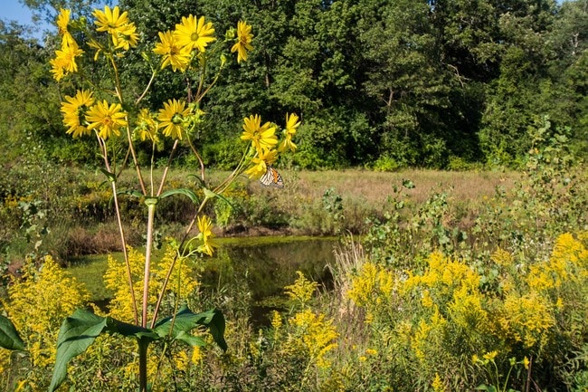 Surrounded by beautiful nature
