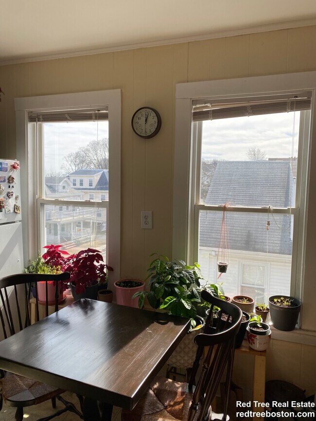 Photo - 258 Belmont St Unit 3