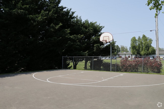 Basketball Court - The Heron Club