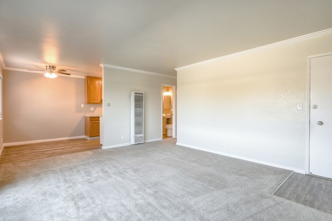 Cedar Apartments
