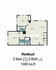Redbud