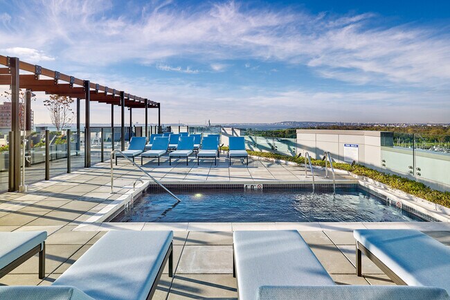 Quinn - Rooftop Pool