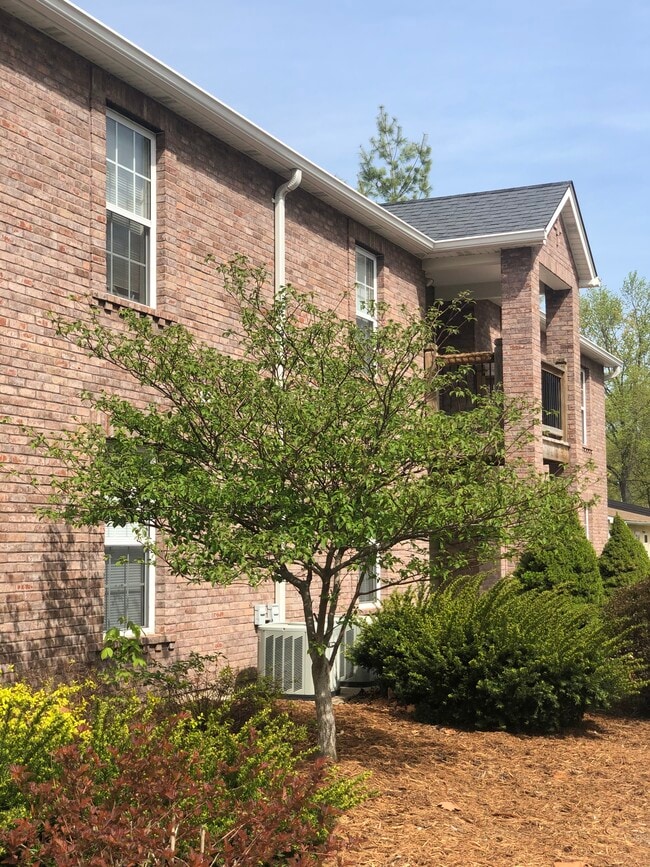Central - Pacific Village Apartments