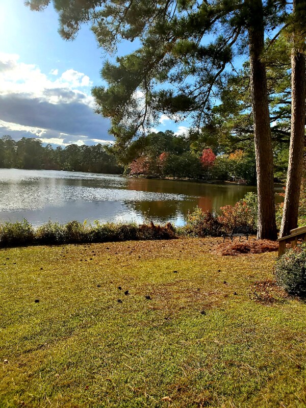 Photo - 15 Arcadia Cove