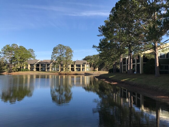 Beautiful Ponds - Palencia