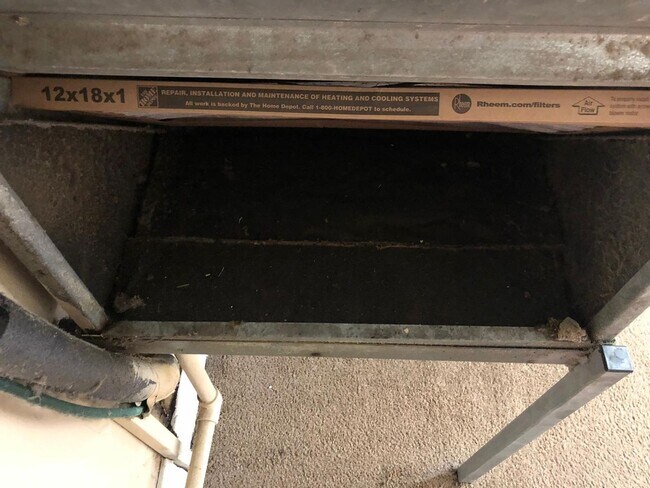 Photo - Green Tee - # 317 Unit # 317