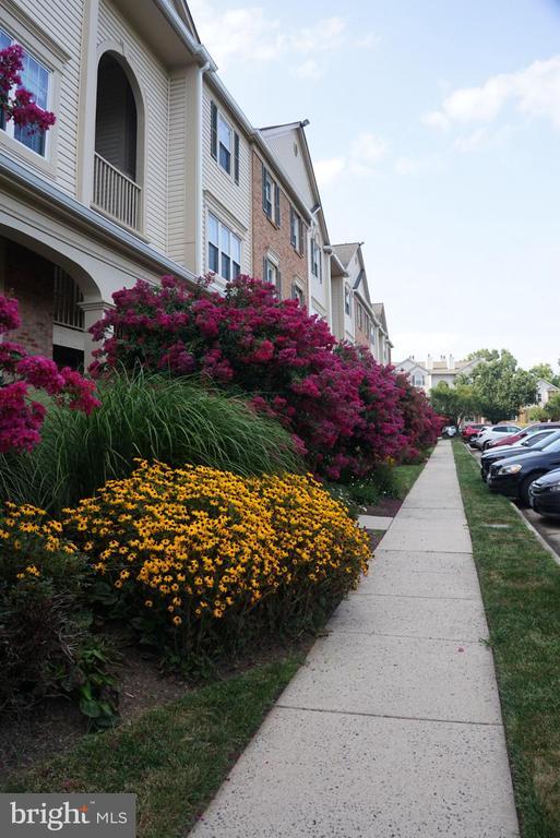 Photo - 2816 Emma Lee St Unit 301