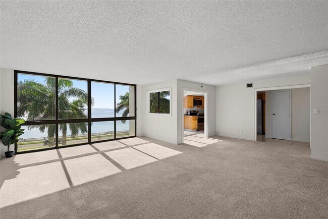 3301 Bayshore Blvd Unit 505C