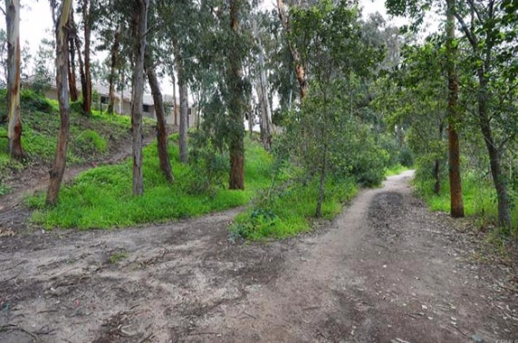 Trails and streams - 24498 Copper Cliff Ct