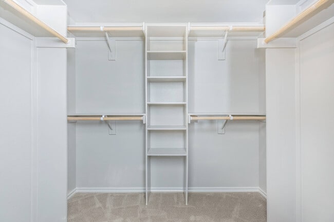 Large Walk-In Closet with Built-Ins