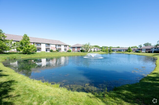 Pond