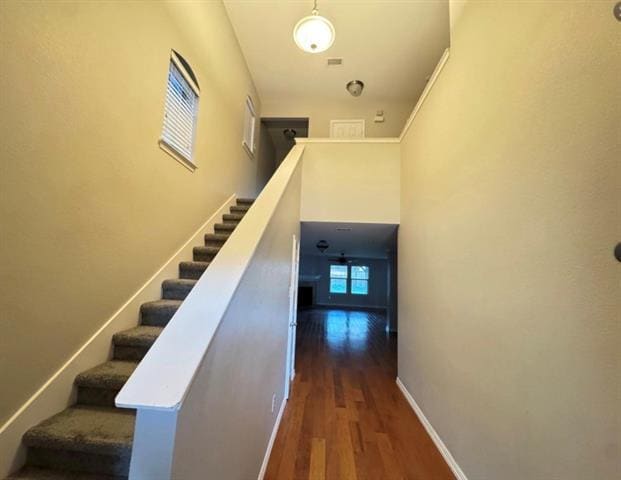 Photo - 10608 Colfax Dr