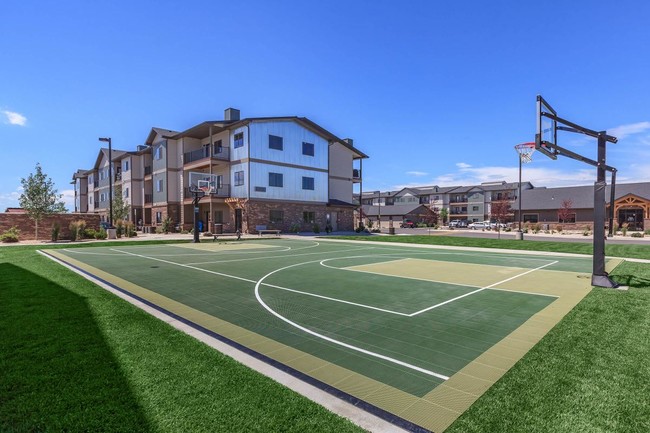 Sport Court with basketball/volleyball access