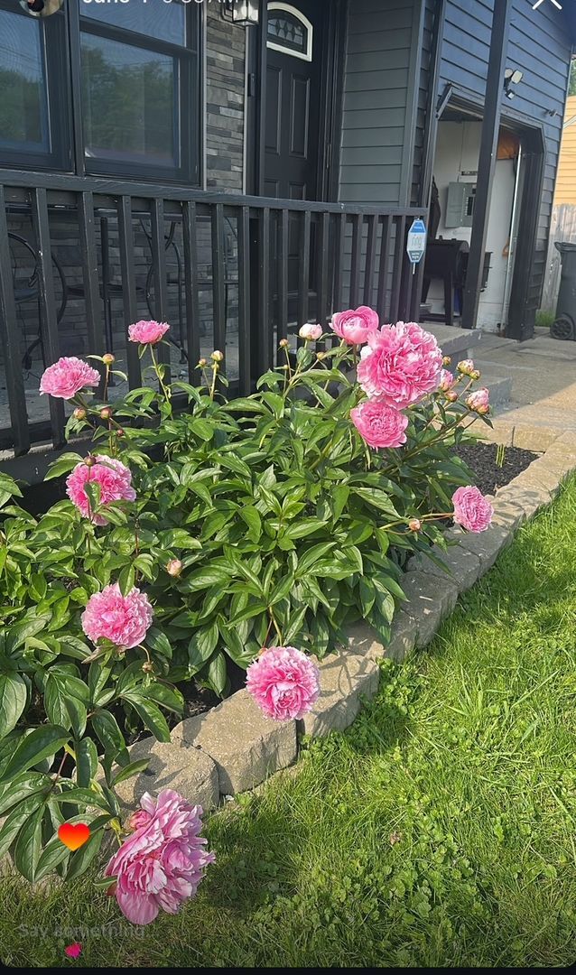 Photo - Boardman, 3 Bedroom Ranch Home for Rent! Apply Now!