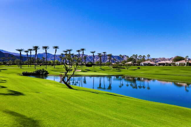 51075 Marbella Ct
