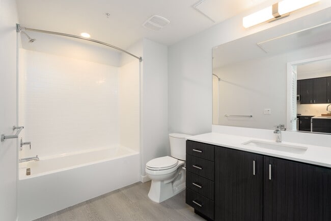 MV Apartments