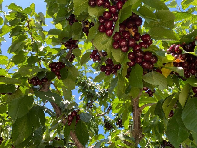 Photo - 3950 NE Vista del Rey Dr Unit B