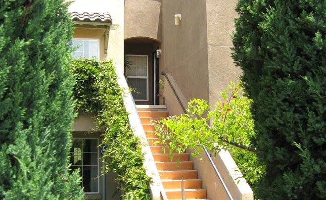 Photo - Vista las Flores