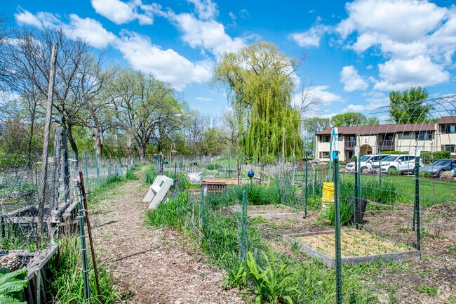 Amenity - Community Garden