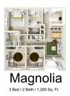 Magnolia