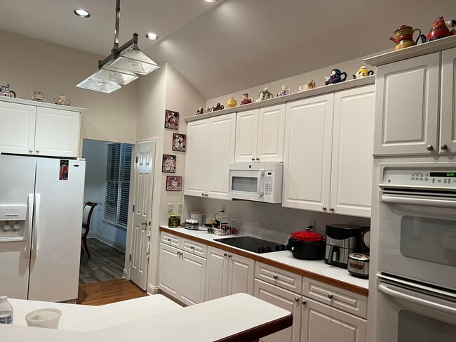 Building Photo - 1209 Wood Iris Ln