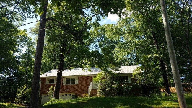 Front of Home w Foliage - 312 Signal Mountain Blvd Casa