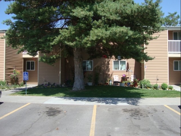 Photo - Cedars Apartments