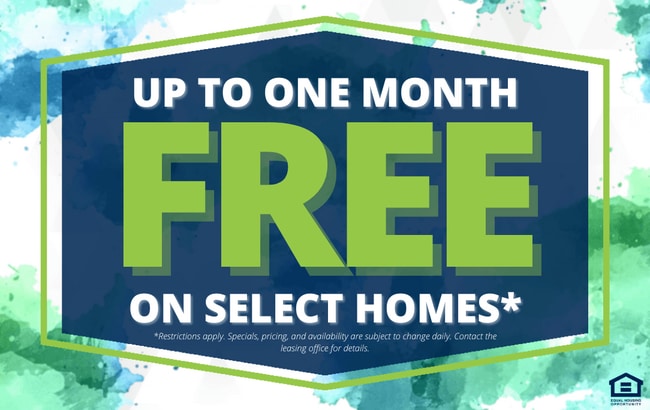 Photo - Velo on the Boulevard