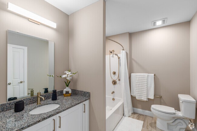 1BR, 1BA - 703SF - Bathroom