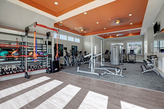 Gym & Fitness Center