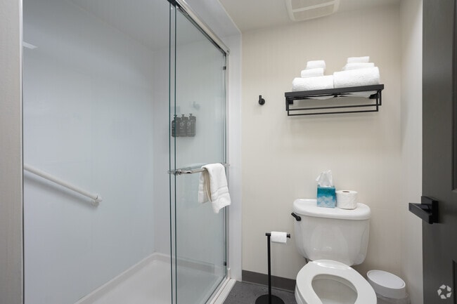 1BR, 1BA - 300SF - Bathroom