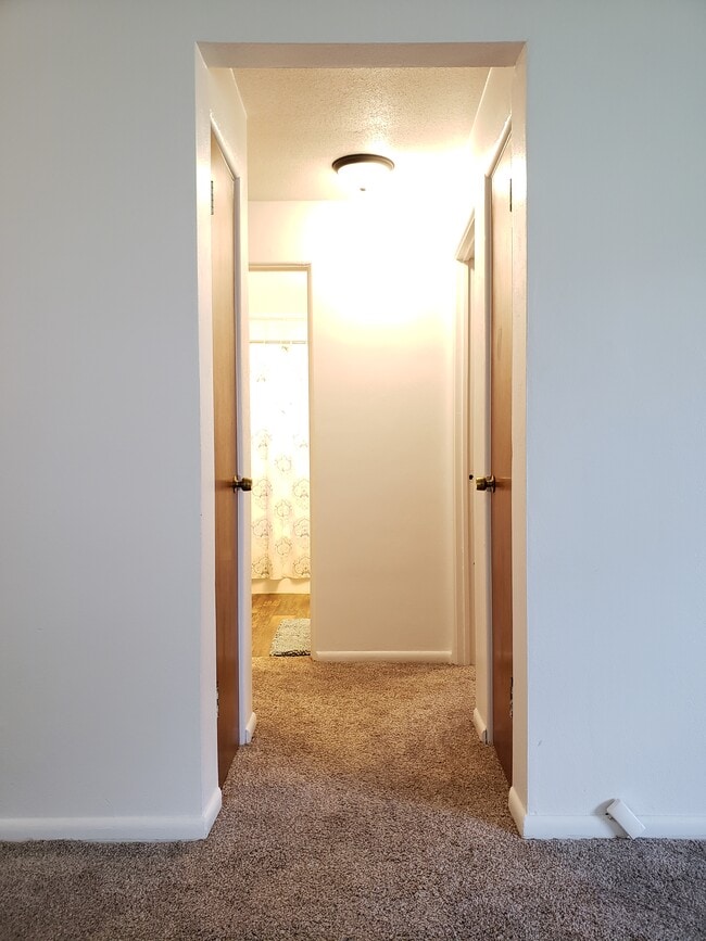 $795, 2 Bed Available July 2026 - 502 13th St SE