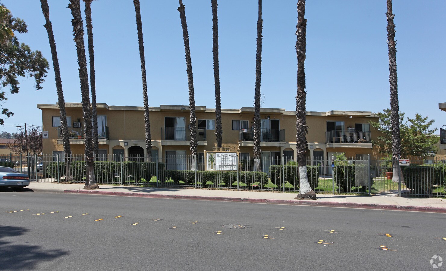 Photo - Lexington Palms