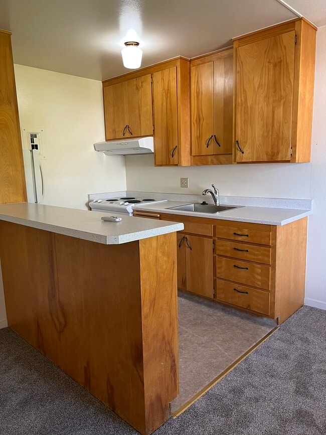 Photo - Coral Manor Apartments
