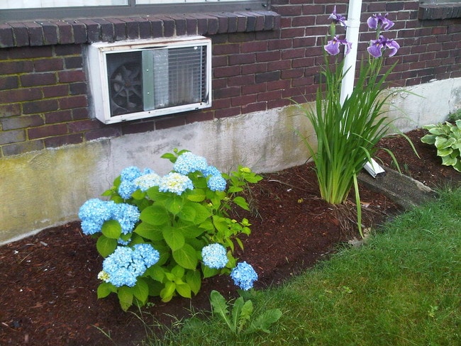 Photo - Oakland Heights Apartments