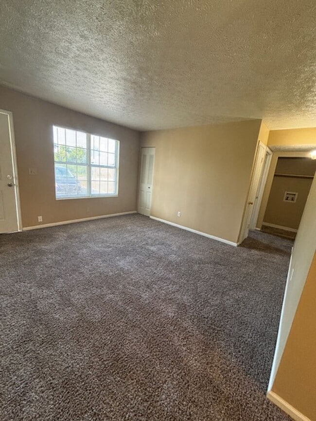 Photo - 409 Shelby Ave