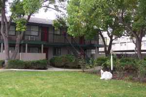 Rosa Crest Studio