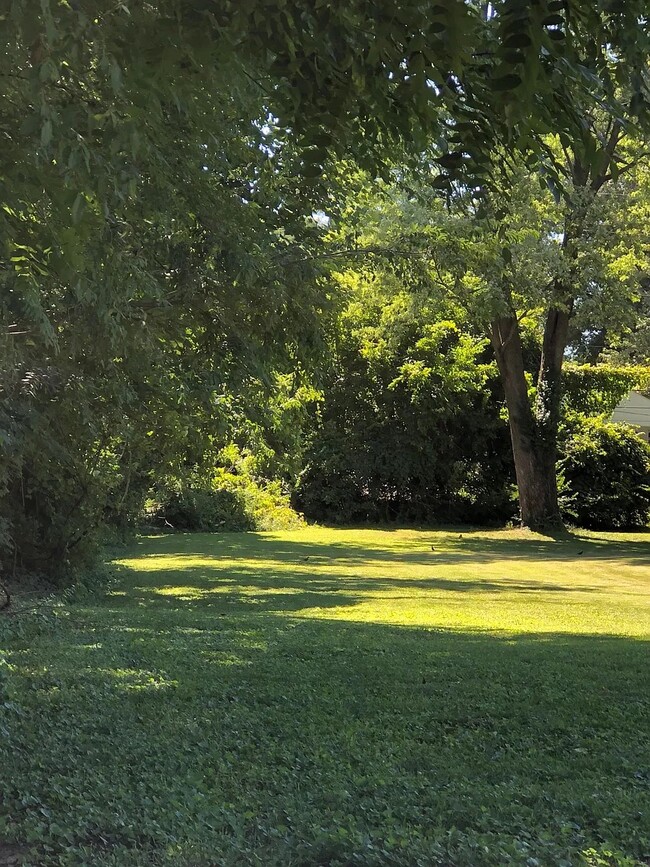 Photo - 131 N Hillsdale Dr