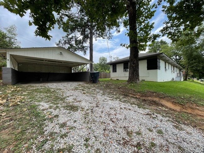 Photo - Highland Charmer! Come see Today!