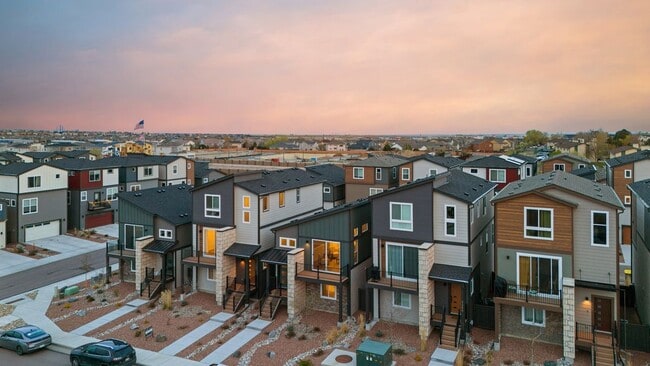 Photo - 7371 Hunter Jumper Dr