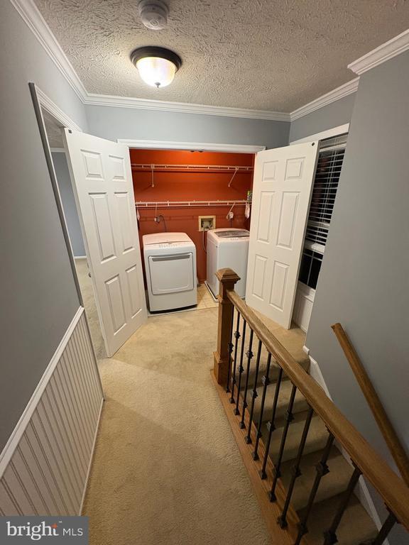 Photo - 10811 Topbranch Ln