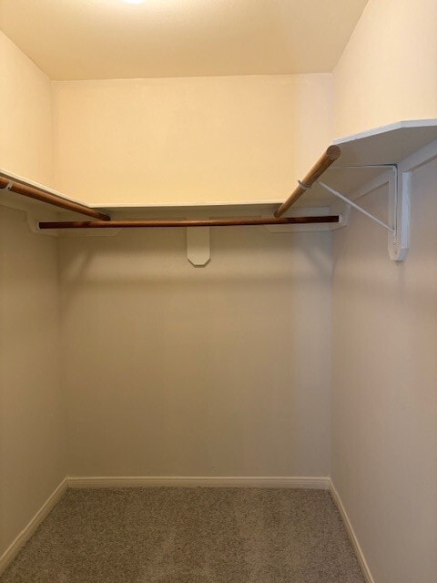 Photo - 12038 Westwold Dr