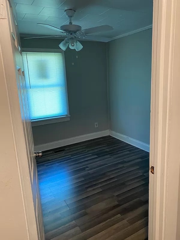 Photo - Room in Duplex on W Monroe St