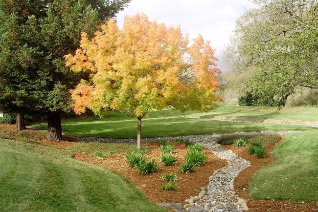 Oak Creek - Oak Creek Apartments