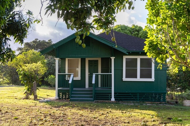 Building Photo - Newly Renovated Waialua Home on 1 Acre w/ Mountain Views – Pets Welcome