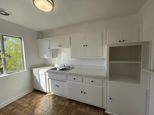 Photo - Tropical Gardens