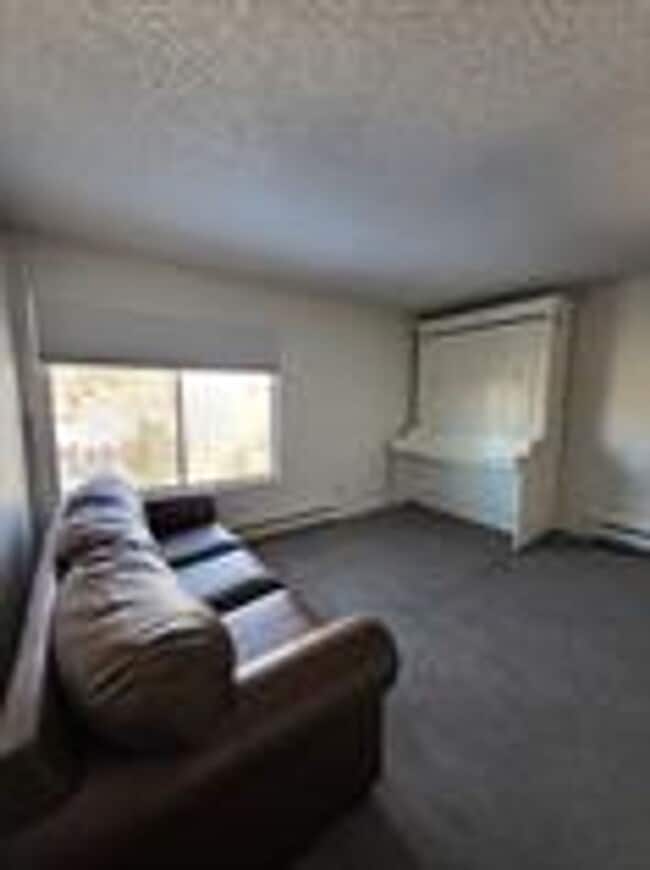 Building Photo - Price Reduced! In town Breckenridge Studio! Heat and Electric included! Between town and the l...